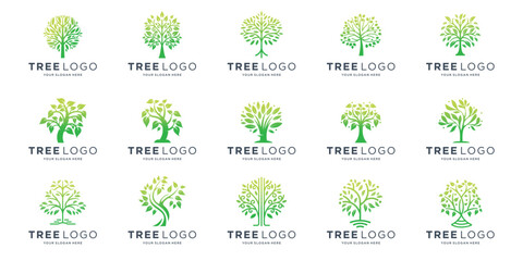 tree logo inspiration Botanic plant nature symbols. Tree branch with leaves signs. 