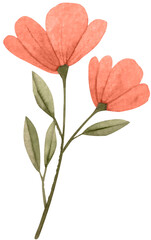 flower illustration delicate beautiful vector