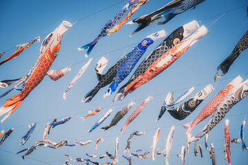 青空を泳ぐたくさんのこいのぼり