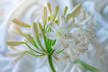 Fototapeta premium White lily flower on elegant white cloth with fresh green leaves, beauty and serenity in nature concept