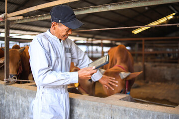 Asian Male Farmer Monitors The Health Of Cows Using Digital Tablet Computer. Modern Farm Technology.