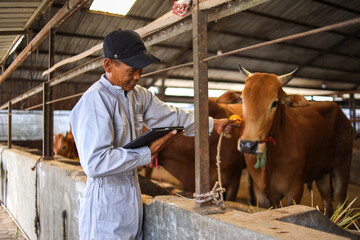 Asian Farmer Uses A Digital Tablet While Working On Livestock Farm.