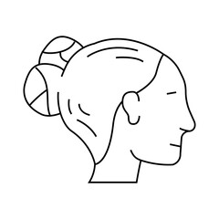 double buns hairstyle female line icon vector. double buns hairstyle female sign. isolated contour symbol black illustration