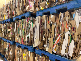 Baled compacted cardboard boxes stacked on blue wooden pallets ready for recycling
