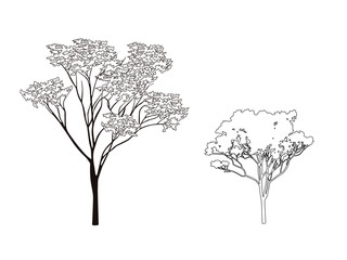 Tree line work illustrator drawing © Yuzheng