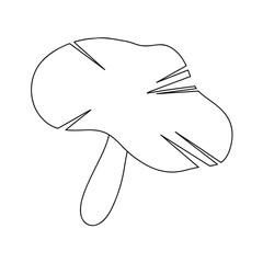 Continuous line of mushroom in silhouette isolated on transparent background. Vector illustration