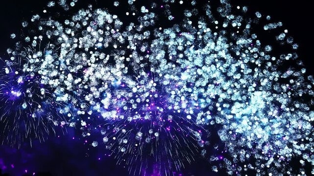 [納涼花火大会] いたばし花火大会（フィナーレ）