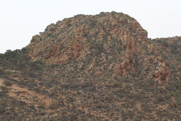 A beautiful view of mountains covered with argan trees