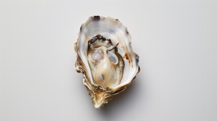 Naklejka premium A small oyster shell with a small pearl inside