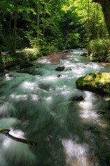Obraz premium 青森県十和田奥入瀬渓谷の渓流