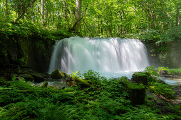 青森県十和田奥入瀬渓谷にある銚子大滝