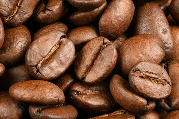 Roasted coffee beans background top view