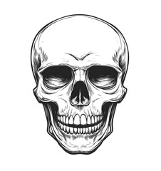 Obraz premium Detailed Skull Illustration
