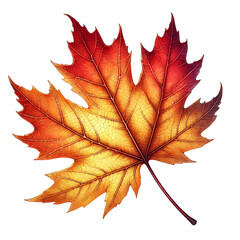 Fototapeta premium Detailed illustration of a vibrant autumn maple leaf with red, orange, and yellow hues transparent background, PNG