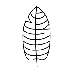 stelizia tropical leaf line icon vector. stelizia tropical leaf sign. isolated contour symbol black illustration