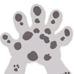 Rat Paw Wall Art illustration animal print pet paw design white background