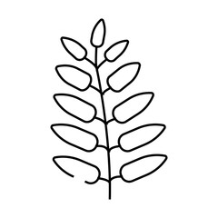 royal fern tropical leaf line icon vector. royal fern tropical leaf sign. isolated contour symbol black illustration