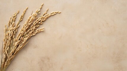 Graceful Dried Rice Sprays Highlighting Natures Abundance Against a Subtle Background in Serene Minimalism and Natural Beauty.