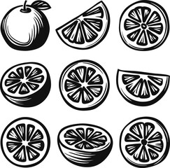 Orange fruit hand drawn collection Icon set, sliced fruit food and elements Black and white.