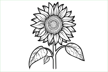 butterfly for kids, simple, black & white line art, no 3d, no background. A modern set of butterfly silhouettes, including various butterflies, moths, and insects in different wing styles. 