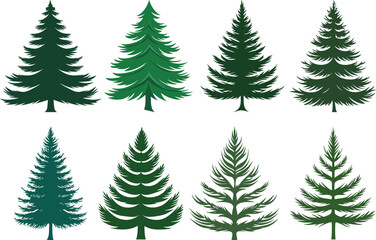 Obraz premium Vector Set of Balsam Fir Tree Designs. Cute Cartoon Tree Icons and Logos on White Background