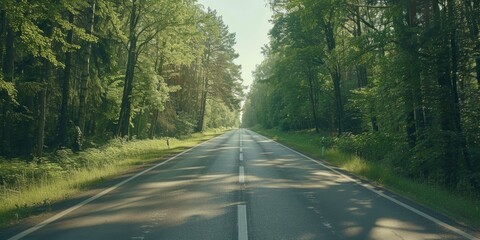 Obraz premium A scenic road lined with trees on a sunny day