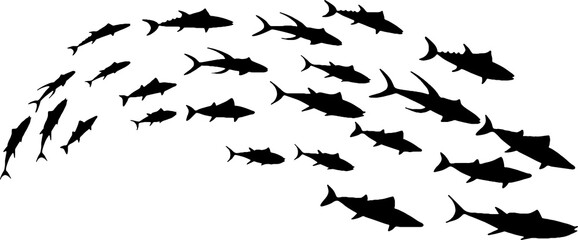 seafish swimming group fish and sea school fish swimming group