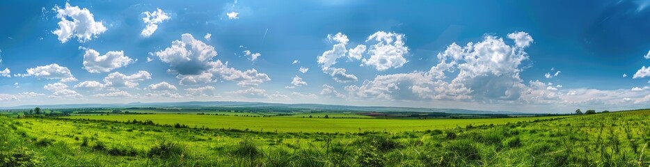 Panoramic View of a Green Field Under a Blue Sky