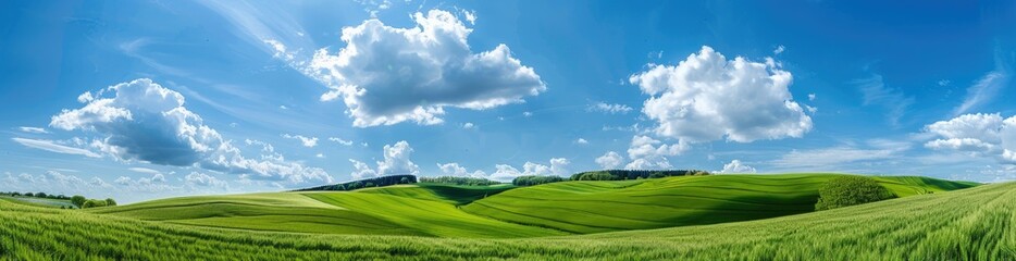 Obraz premium Rolling Hills Under a Blue Sky