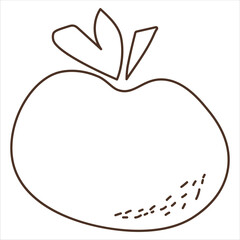 Orange fruits. Vector coloring food in cartoon hand-drawing style