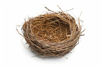 Obraz premium Bird s nest on white