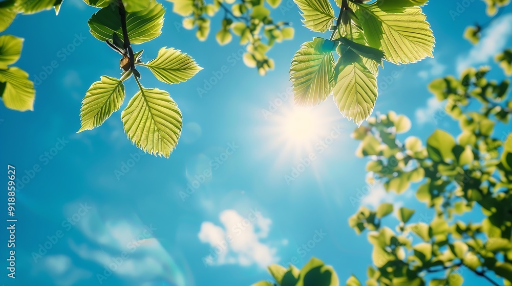 Leinwandbilder tree branch with leaves in front of blue sunny sky summer background with copy space : generative ai