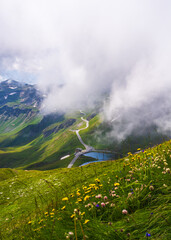 View through flowers on the high mountain road, clouds descending on majestic mountains covered...