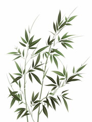 Obraz premium green leaves isolated on white