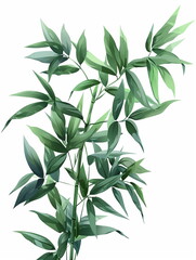 Fototapeta premium green leaves isolated on white