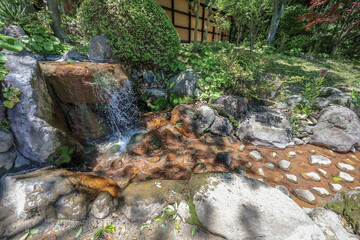 May 16 2024 a Shaven Monk Head Hell Hot Springs