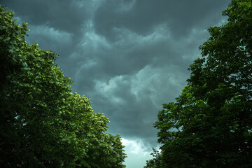 Stormy sky with heavy dark clouds in summer seen through green treetops