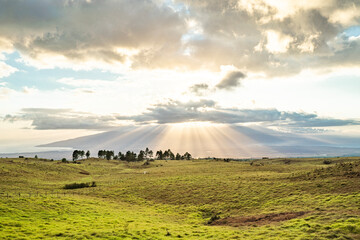 Golden Sunset from Kula, Maui