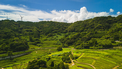 田園風景の空撮