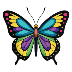 butterfly on white background