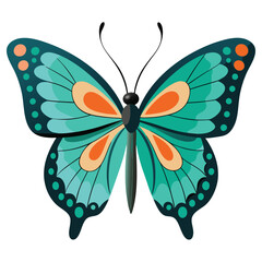 butterfly on white background