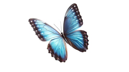 A blue-winged butterfly in motion, flapping its wings with no background.