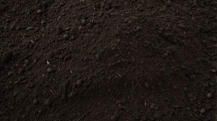 Fototapeta premium Black soil texture cutout 