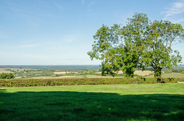 Hampshire Downs view, summer day