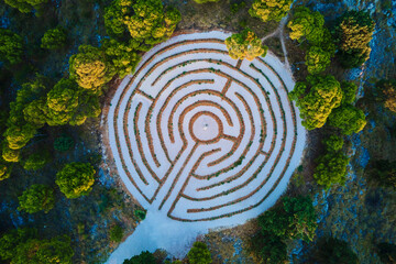 Aerial view of circular hedge maze surrounded by dense forest trees. Lavender labyrinth in...