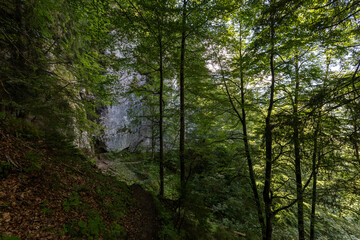 Bergwanderpfad in Tirol