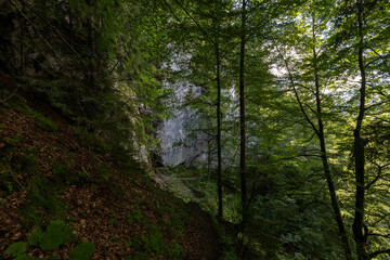 Bergwanderpfad in Tirol