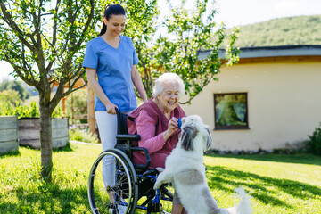 Female caregiver showing cute dog to senior woman in wheelchair. Nurse and elderly woman enjoying a...