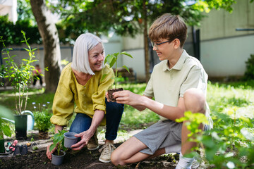 Teacher and young schoolboy during outdoor sustainable education, lesson in forest school. Planting vegetable seedling in soil. Concept of experiential learning and ecoliteracy.