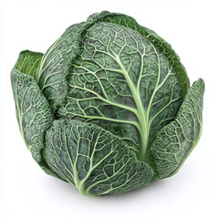 Obraz premium cabbage isolated on white background